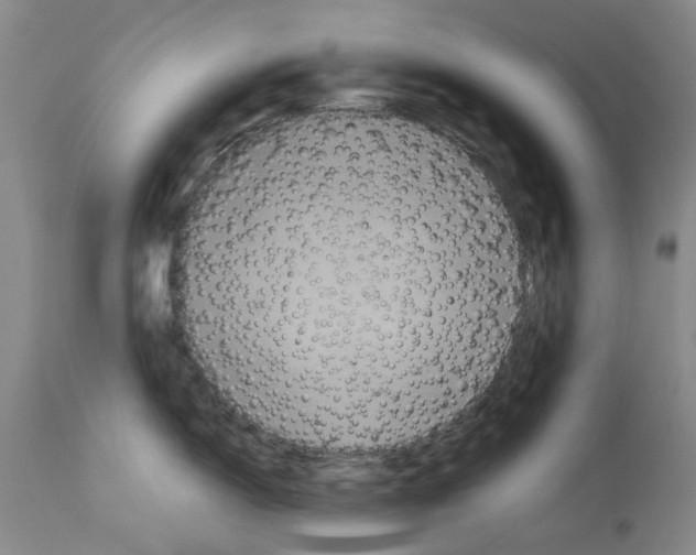 X0000113951150200911061258