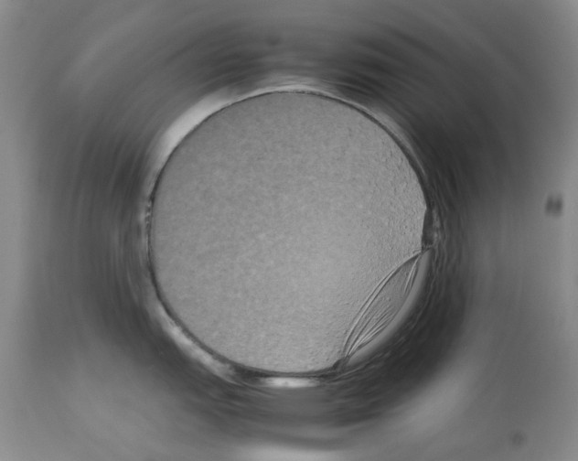 X0000113951151200911061258