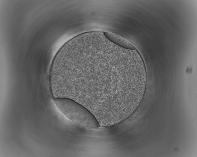 X0000113951152200911061258