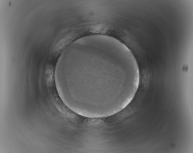 X0000113951154200911061257