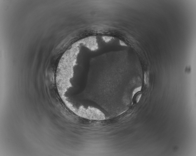 X0000113951155200911061257