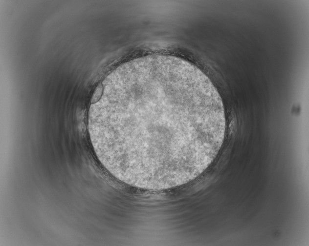 X0000113951156200911061257