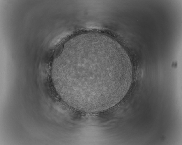 X0000113951157200911061257
