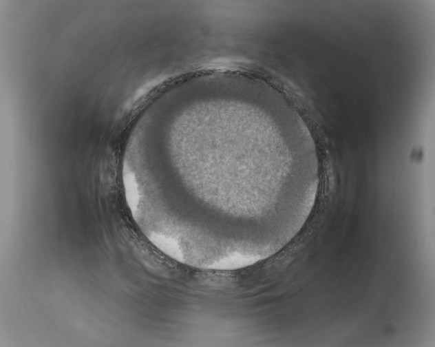 X0000113951158200911061257