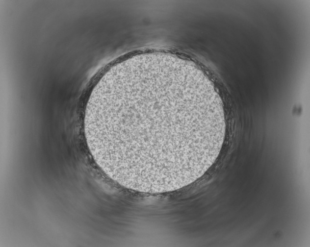 X0000113951160200911061257
