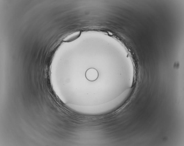 X0000113951161200911061257