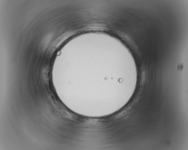 X0000113951162200911061257