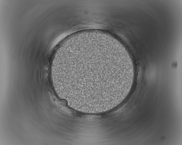 X0000113951163200911061257