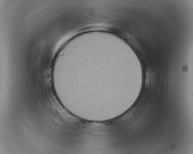X0000113951164200911061257