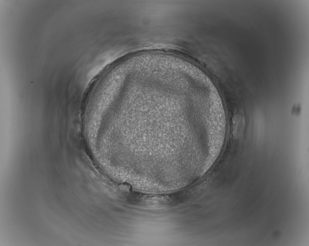 X0000113951165200911061257
