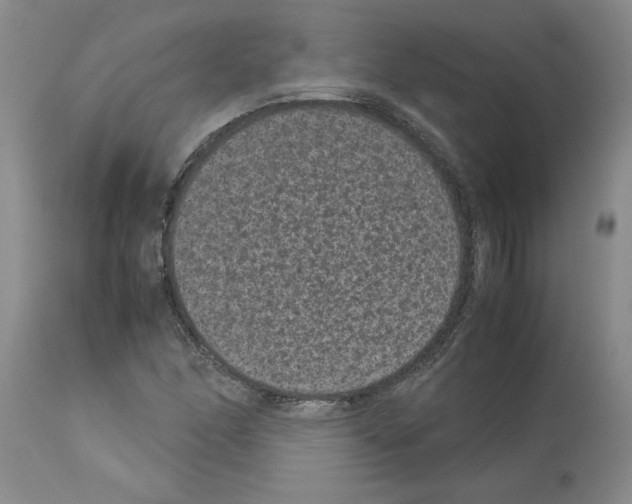 X0000113951166200911061257