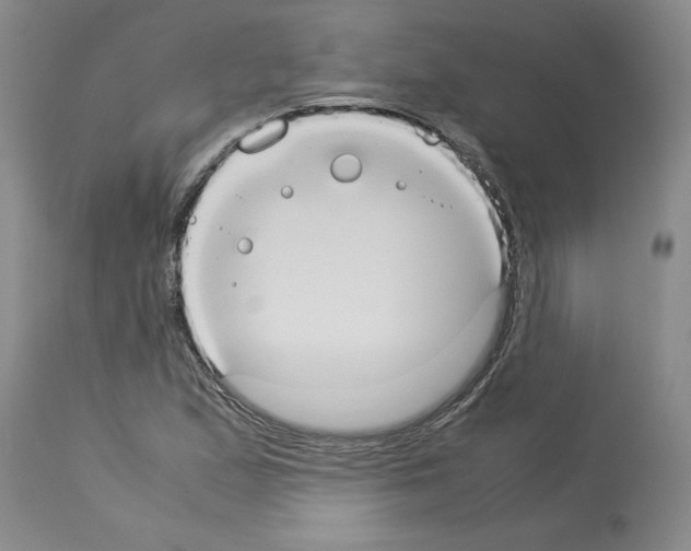 X0000113951167200911061257