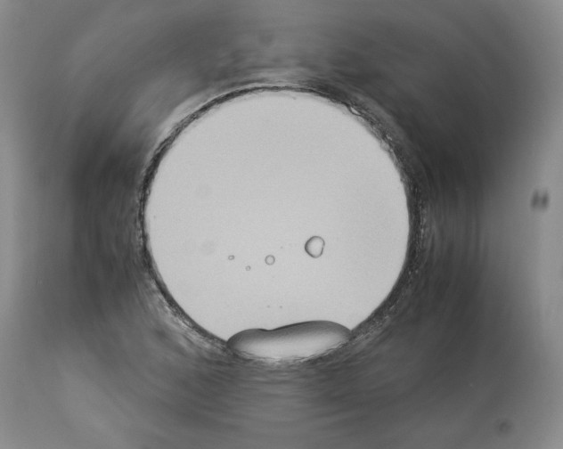 X0000113951168200911061257