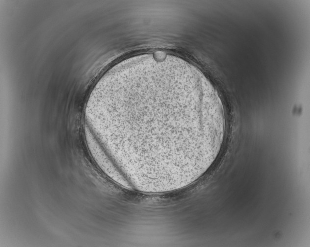 X0000113951169200911061257