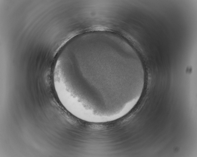 X0000113951170200911061257