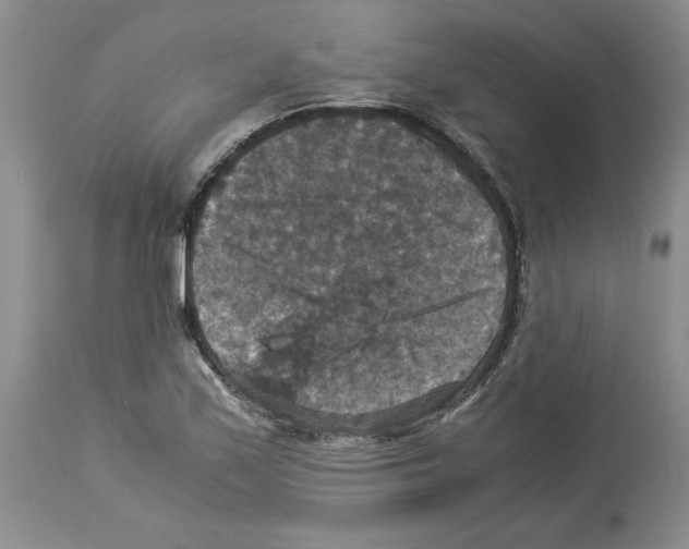X0000113951171200911061257