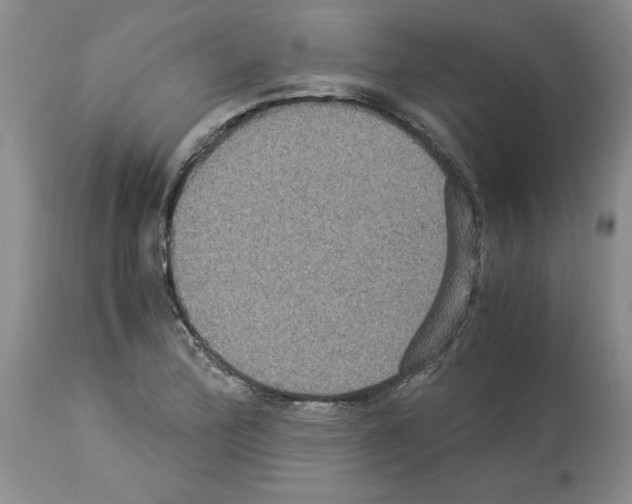 X0000113951172200911061257