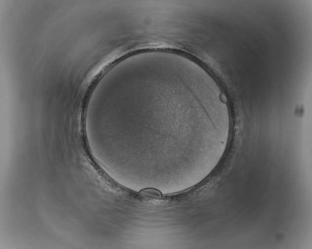 X0000113951173200911061257