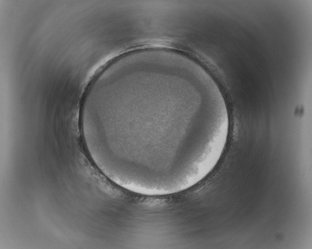 X0000113951174200911061257