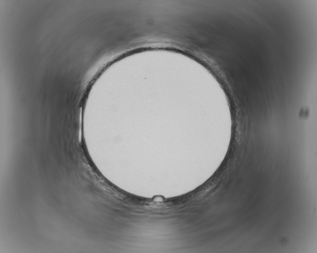X0000113951175200911061257