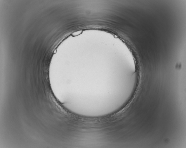 X0000113951177200911061257