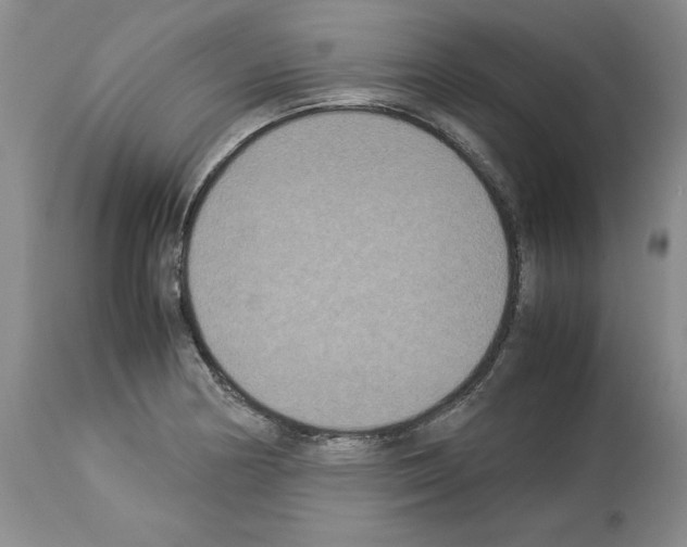 X0000113951178200911061257