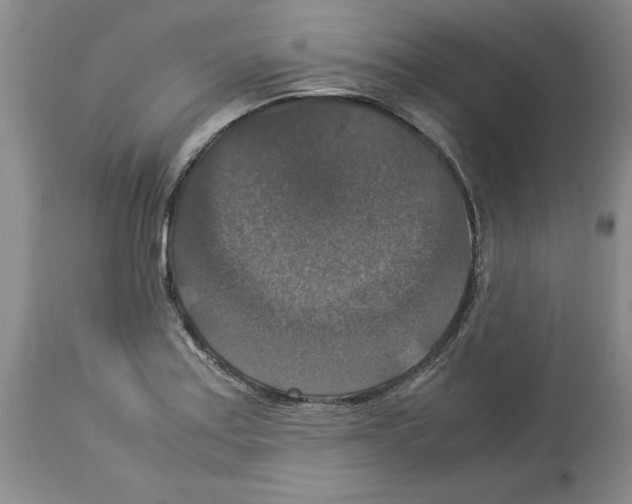 X0000113951179200911061257