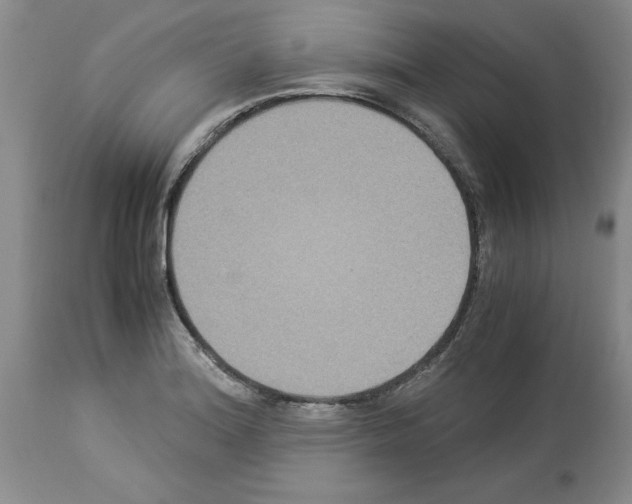 X0000113951180200911061257