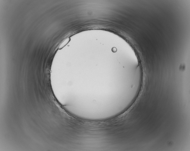 X0000113951185200911061257