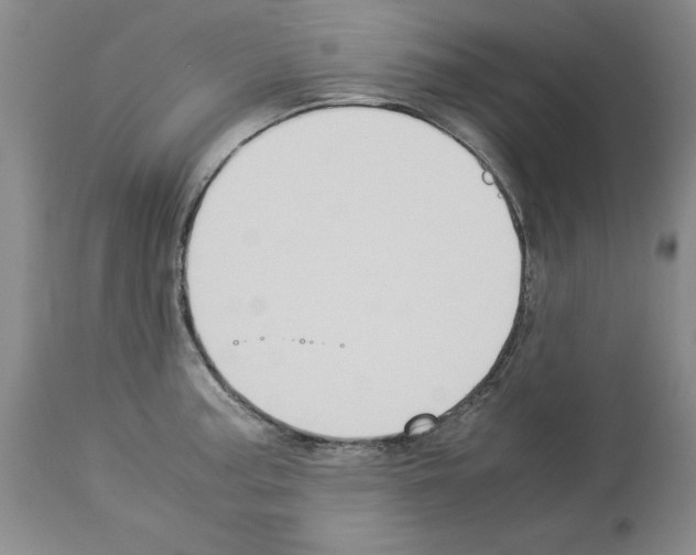 X0000113951187200911061257