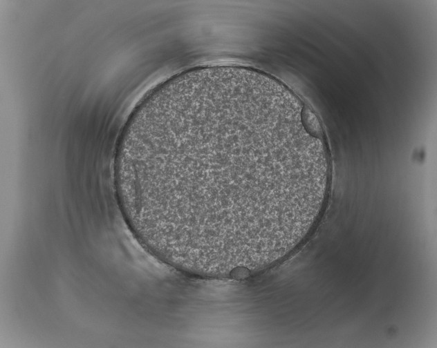 X0000113951189200911061257