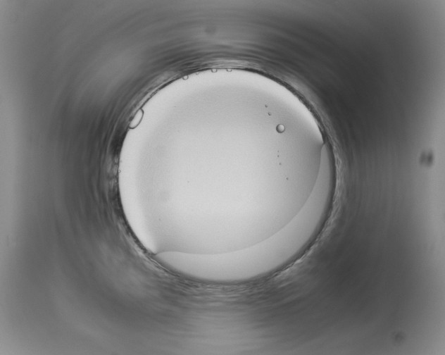 X0000113951193200911061257