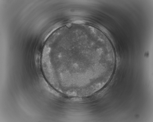 X0000113951194200911061257