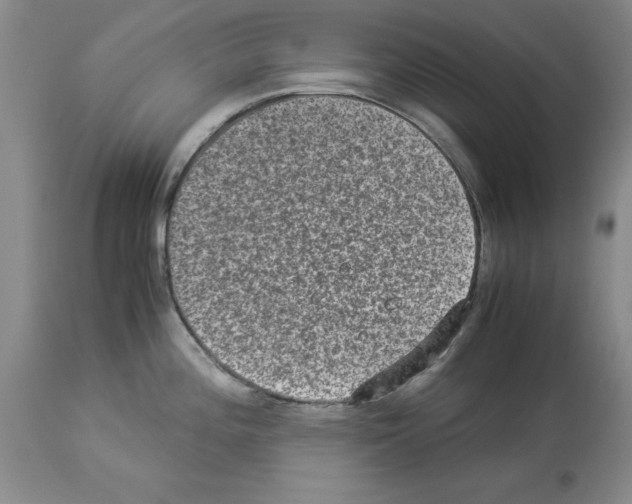 X0000113951196200911061257