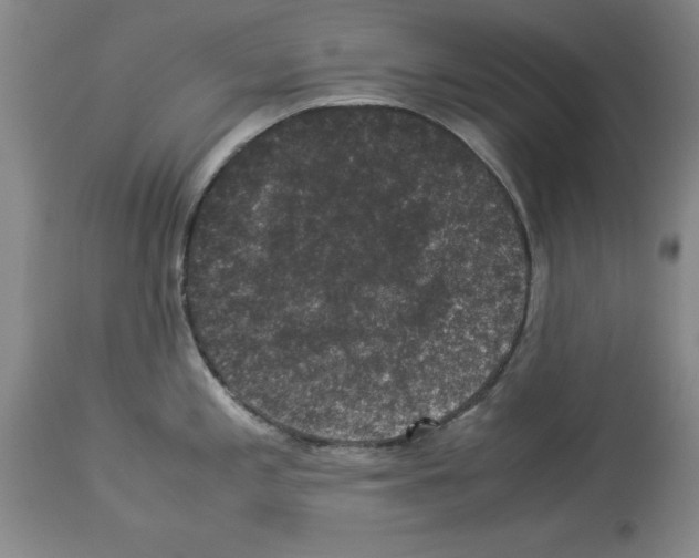X0000113951197200911061257