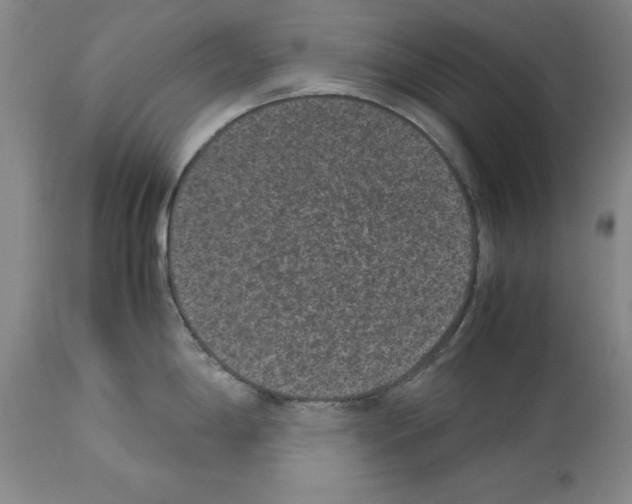 X0000113951198200911061257