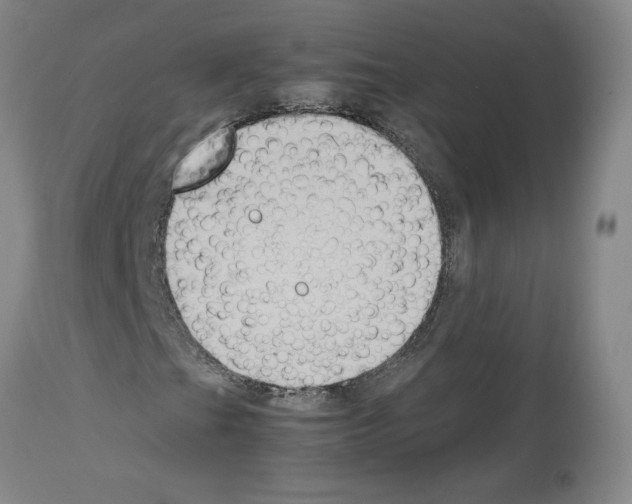 X0000113951201200911061256