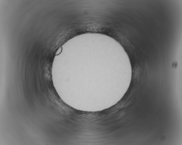 X0000113951202200911061256