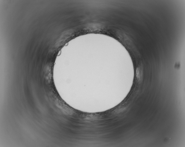 X0000113951203200911061256