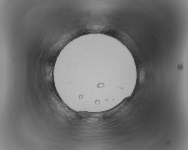 X0000113951204200911061256