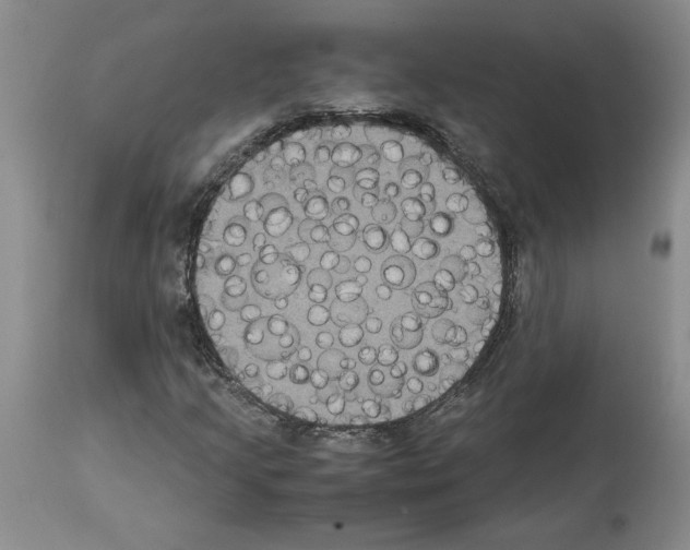 X0000113951205200911061256
