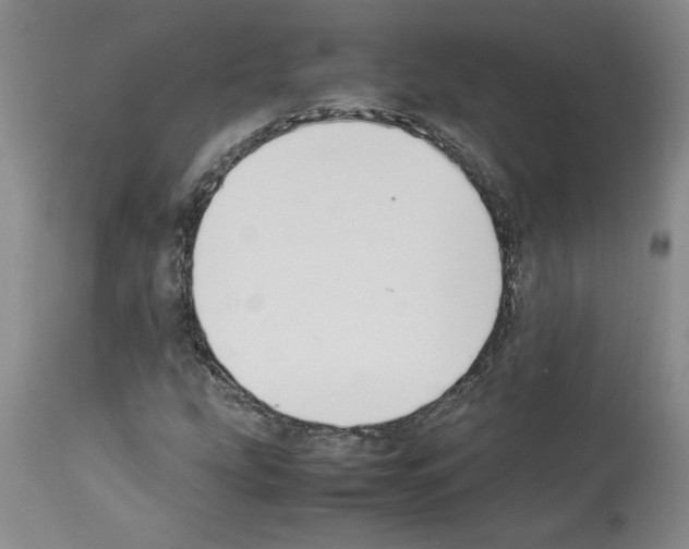 X0000113951207200911061256