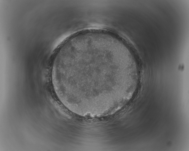 X0000113951208200911061256