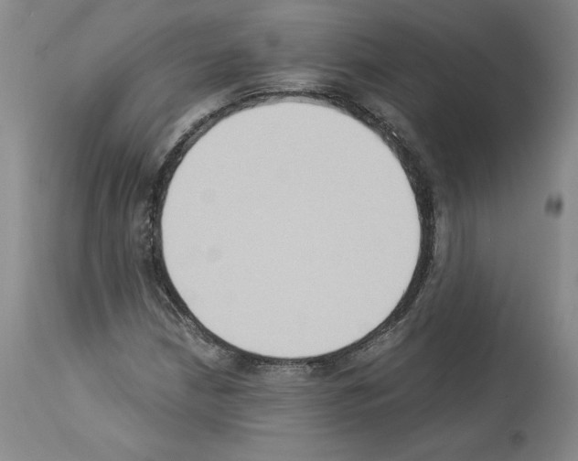 X0000113951210200911061256