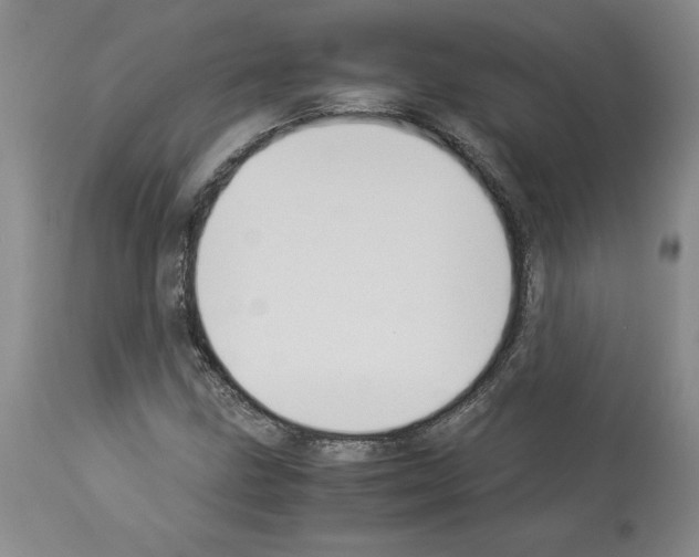 X0000113951211200911061256