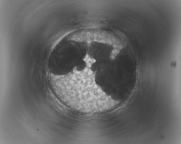 X0000113951212200911061256