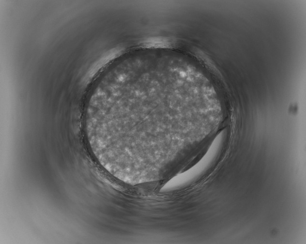 X0000113951213200911061256