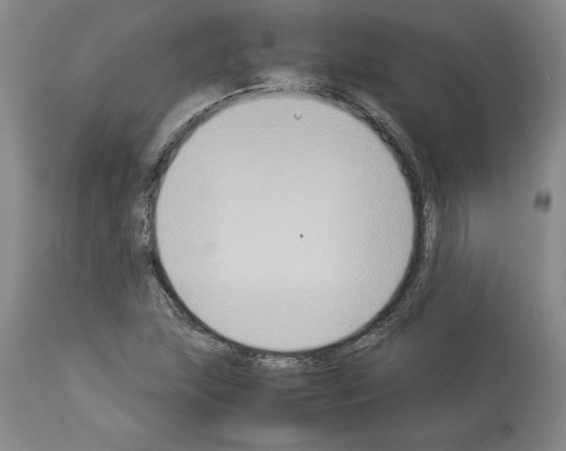 X0000113951215200911061256