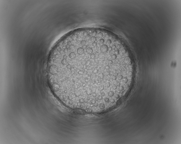 X0000113951216200911061256