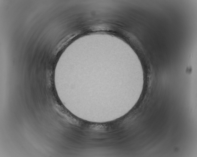 X0000113951217200911061256